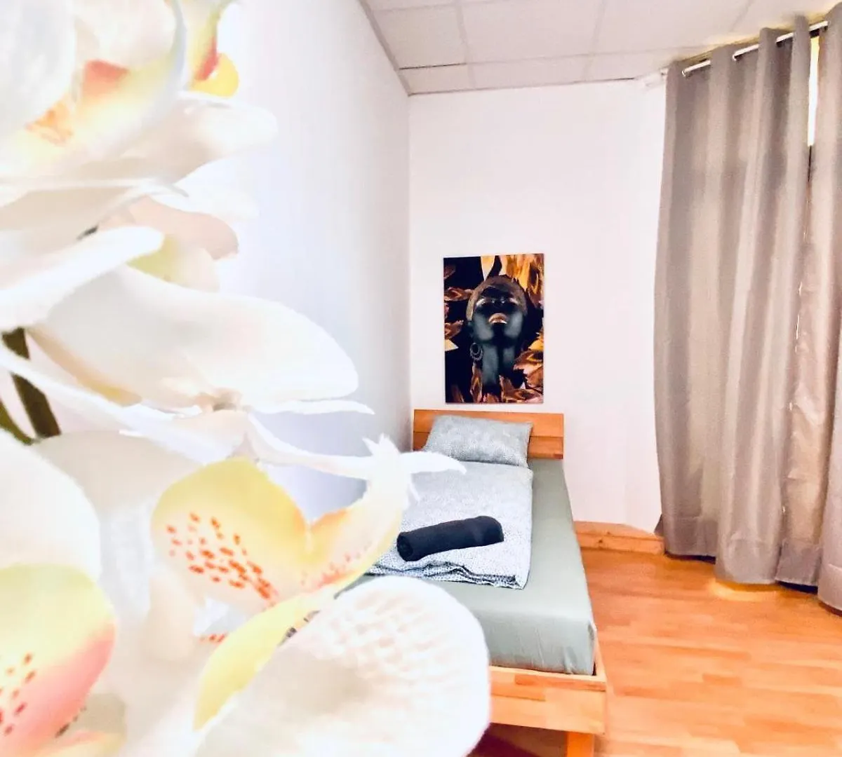 Διαμέρισμα Bright & Spacious 3Br Apt With Direct City Access Βιέννη