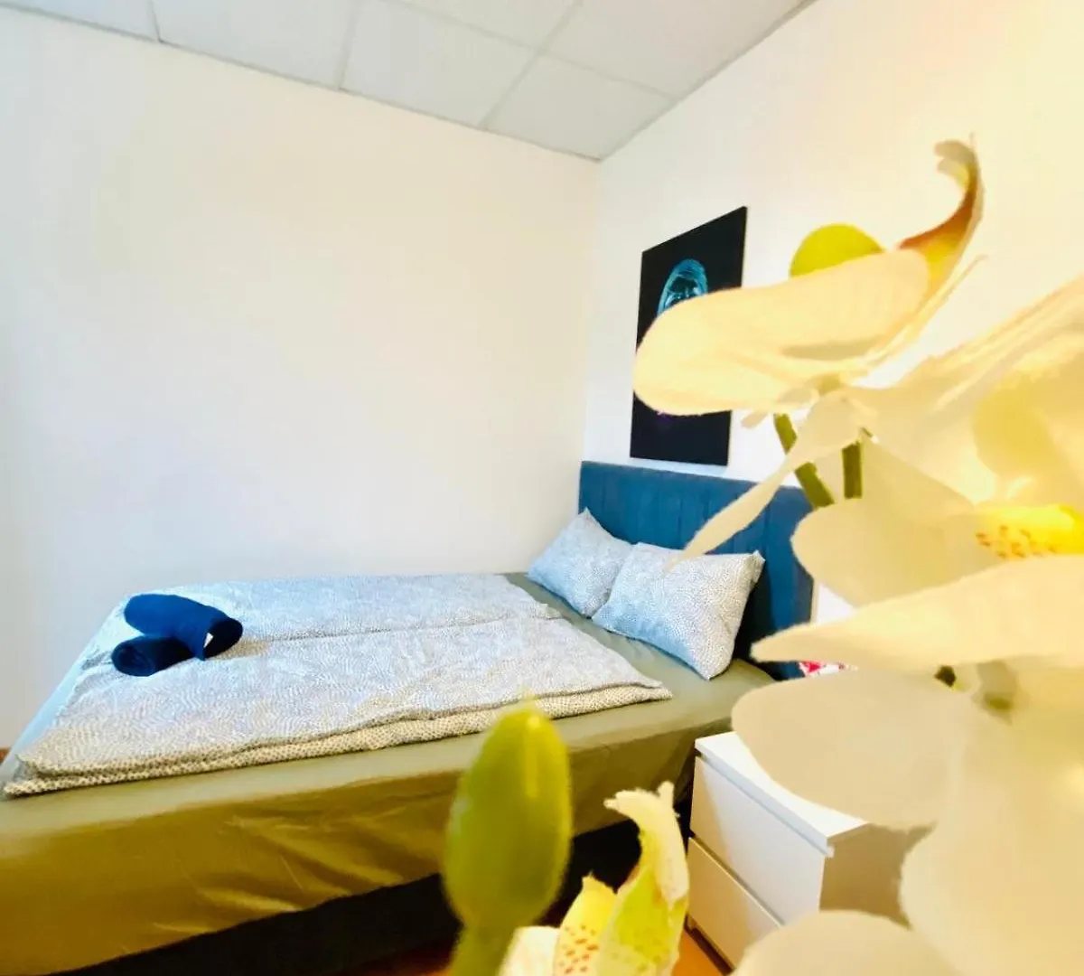 Bright & Spacious 3Br Apt With Direct City Access Βιέννη Διαμέρισμα